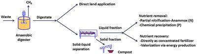 Nitrogen and Phosphorus Recovery From Anaerobically Pretreated Agro-Food Wastes: A Review